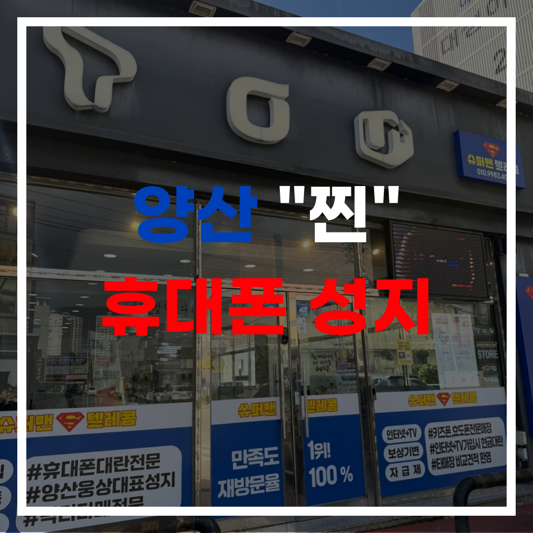 ae2c1e02a269e8267867403c22e95dc8_1791879806_3019.png 휴대폰성지 서창점 시세표 사진 2